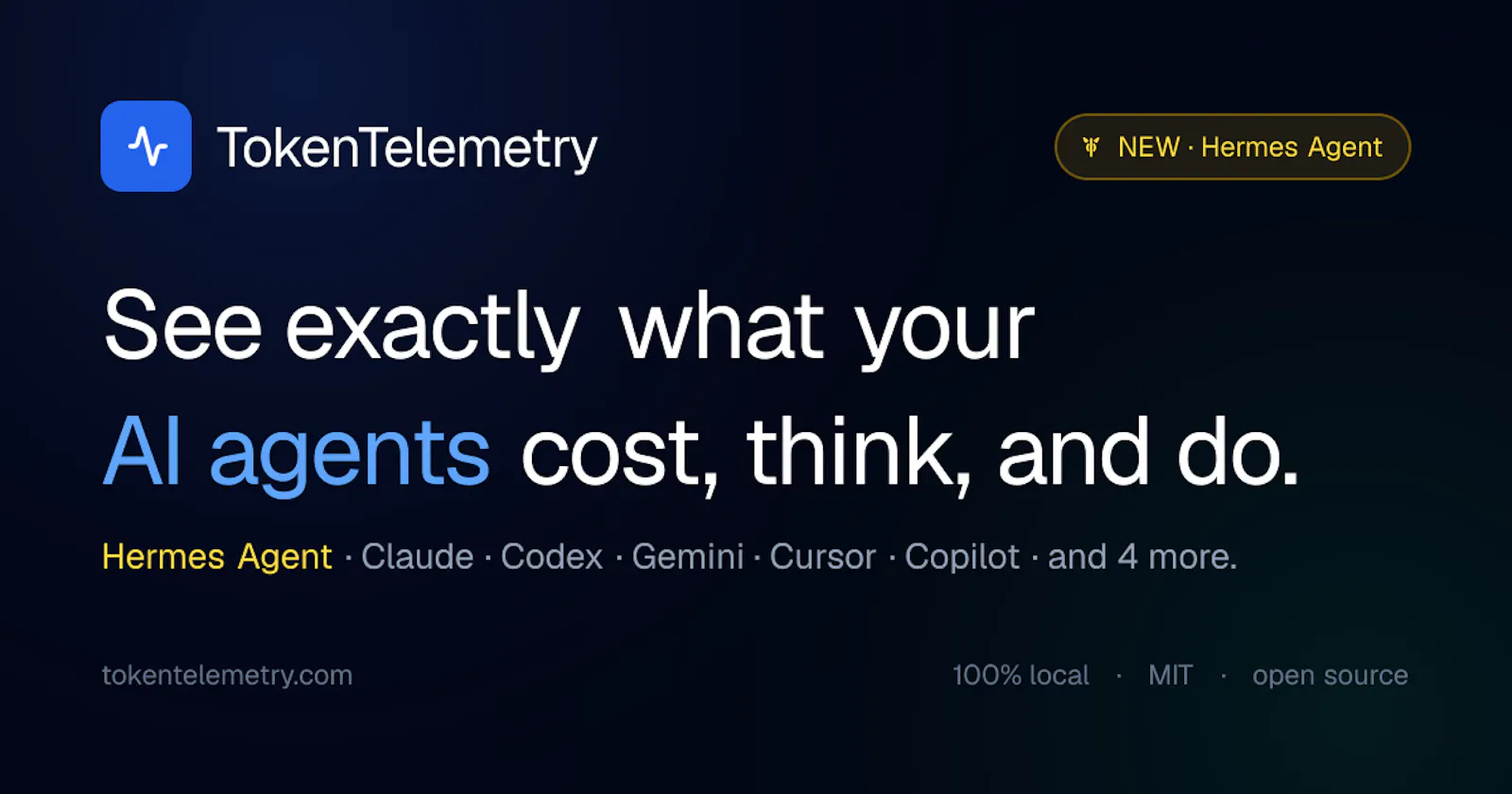 TokenTelemetry screenshot 2