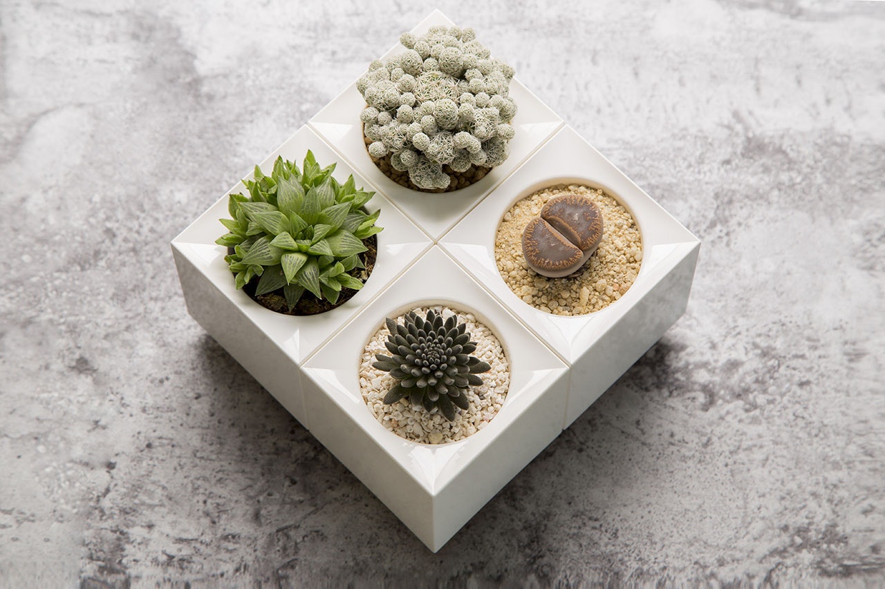 LeGrow gallery image