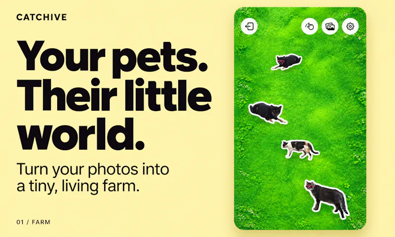 CATCHIVE screenshot 1