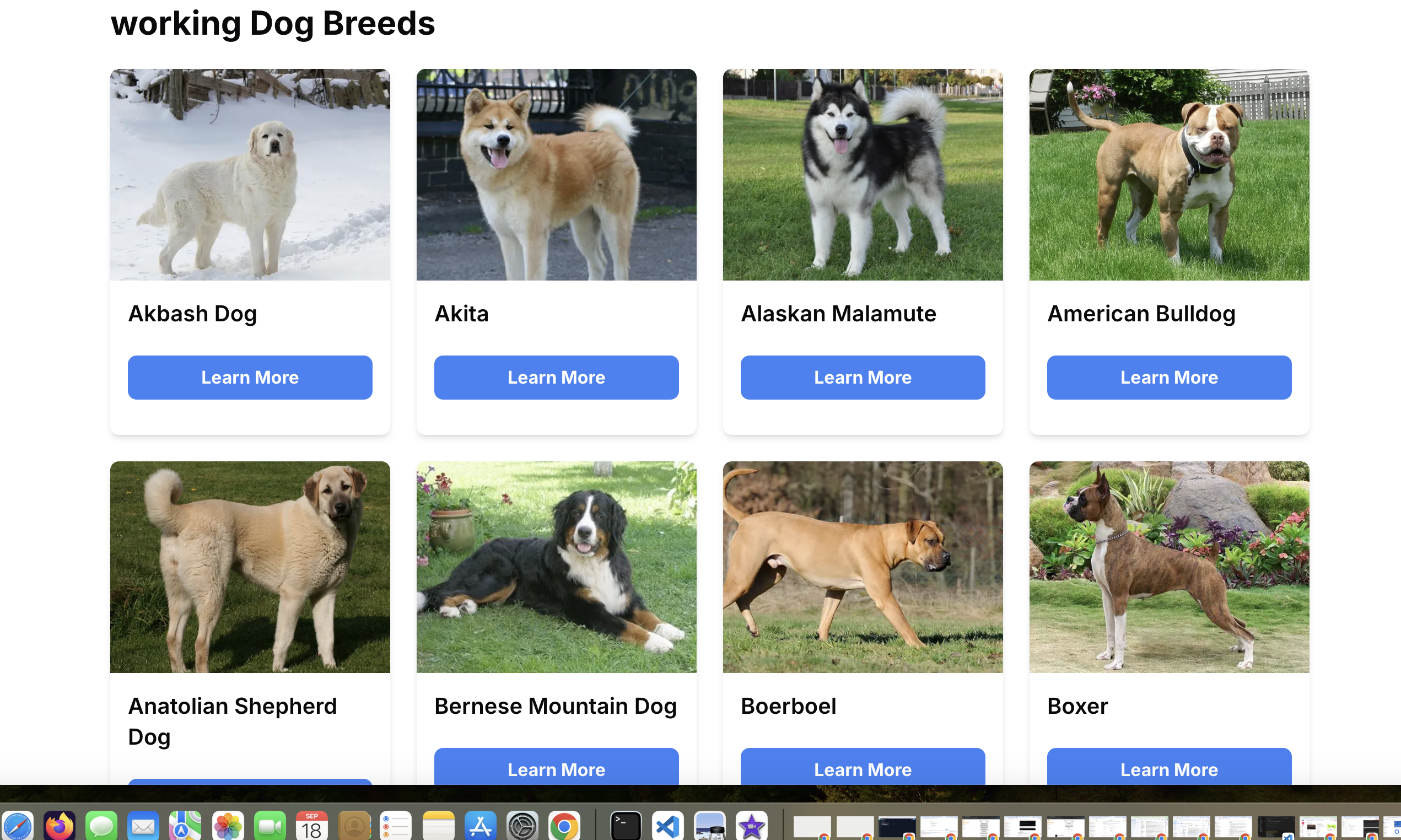 Post puppies gallery image