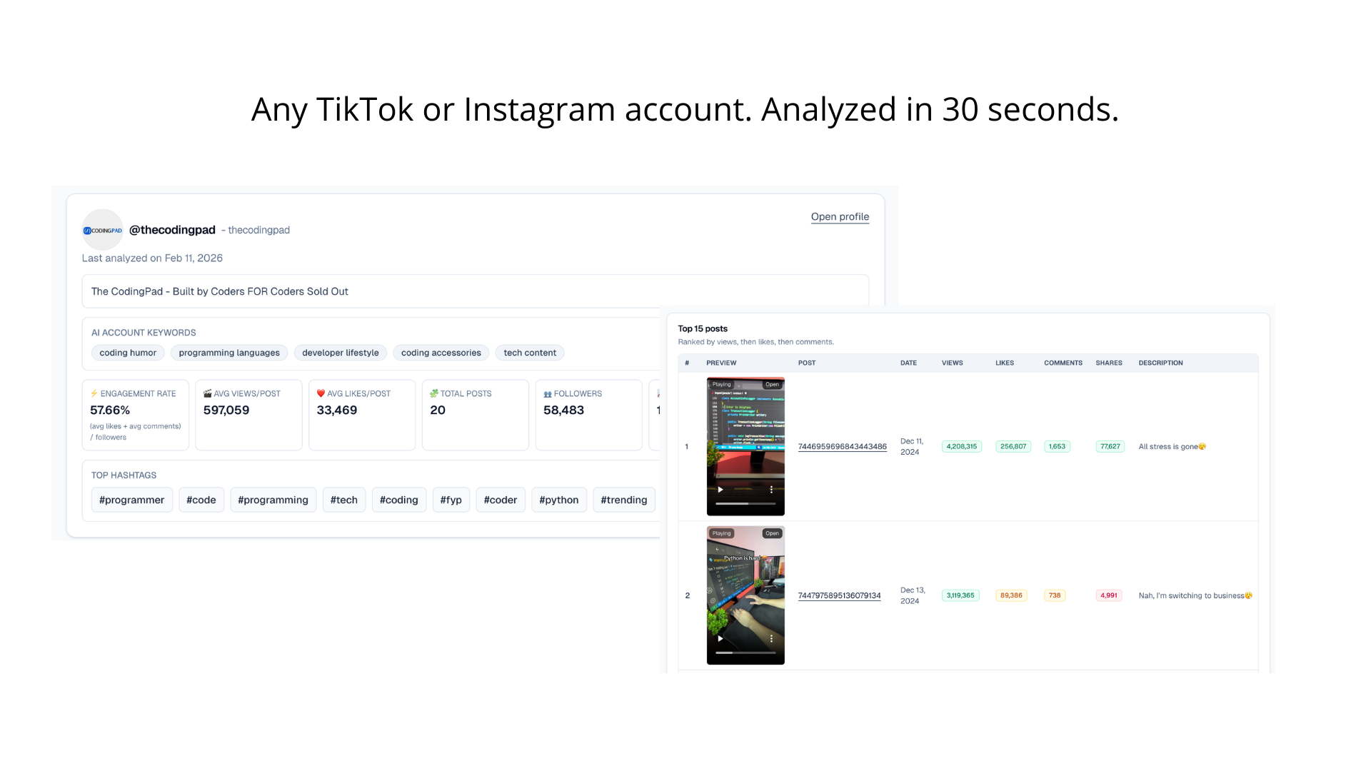 TikTok & Instagram Account Analyzer gallery image