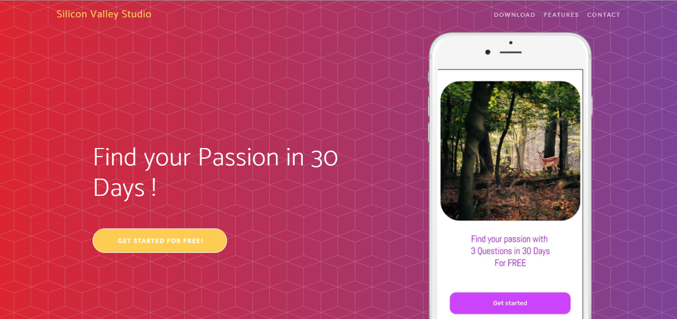 Passion gallery image