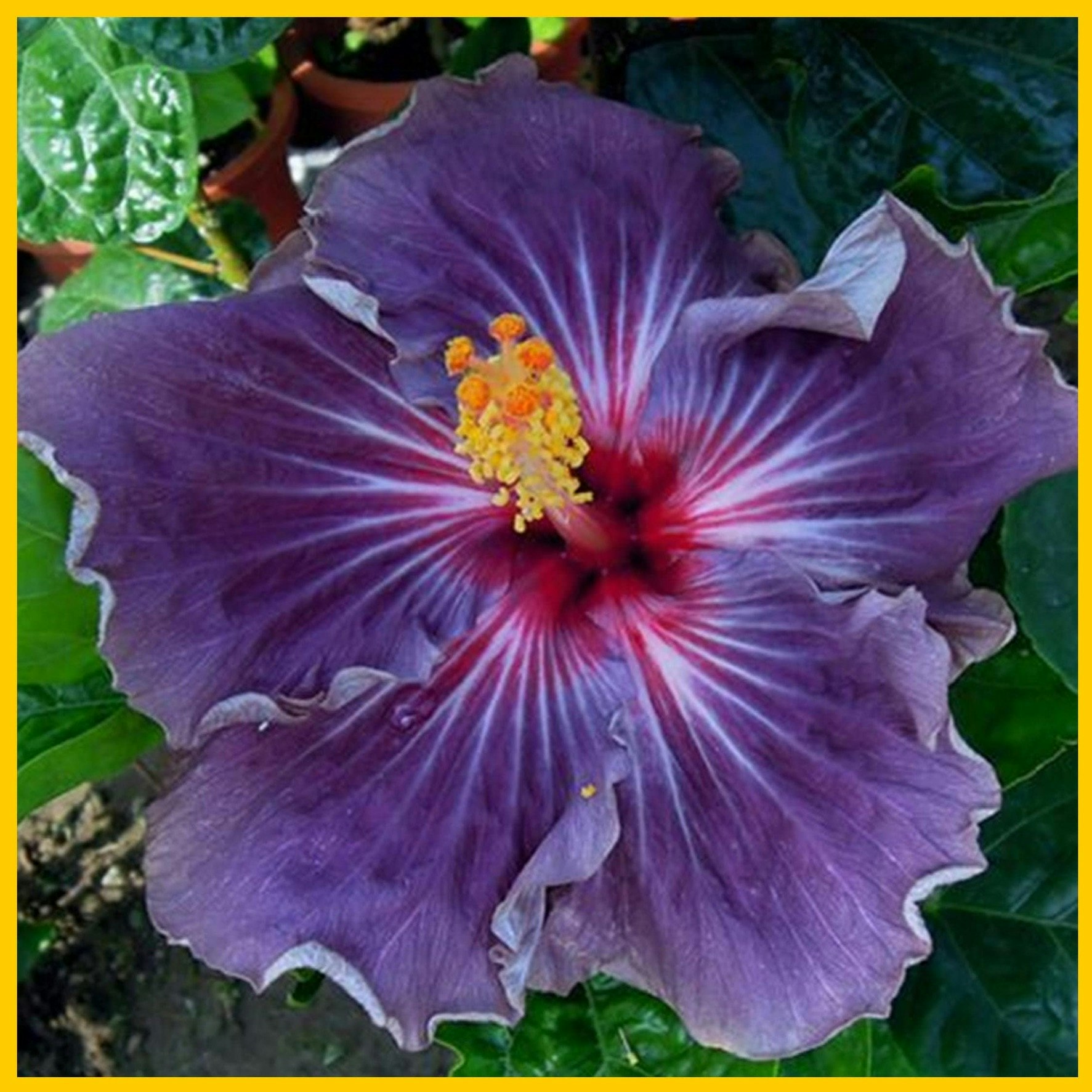 Book recommendation bot