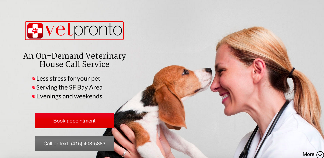 VetPronto gallery image