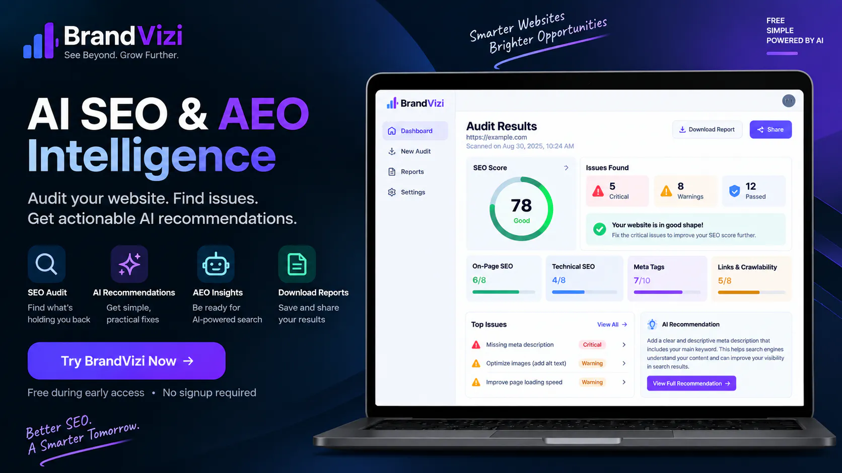 BrandVizi — AI SEO & AEO Intelligence 截图