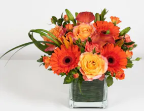 Spring Flowers in Las Vegas gallery image