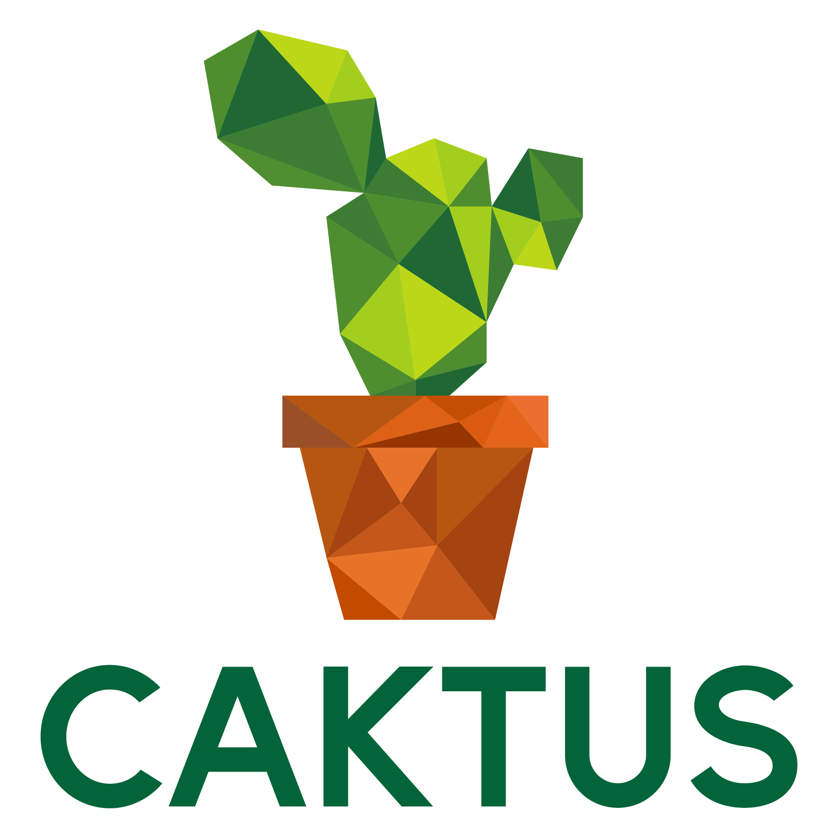 Cactus media 2