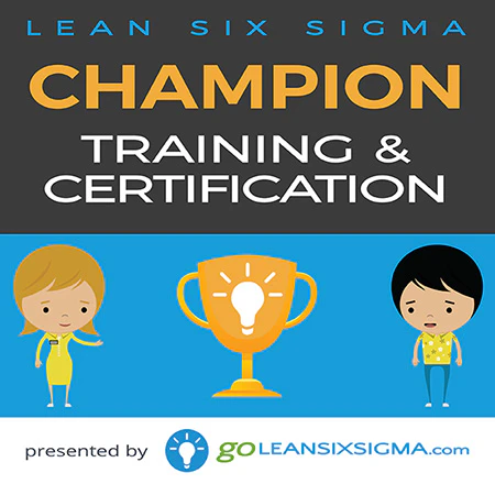 Lean Six Sigma Champion Training