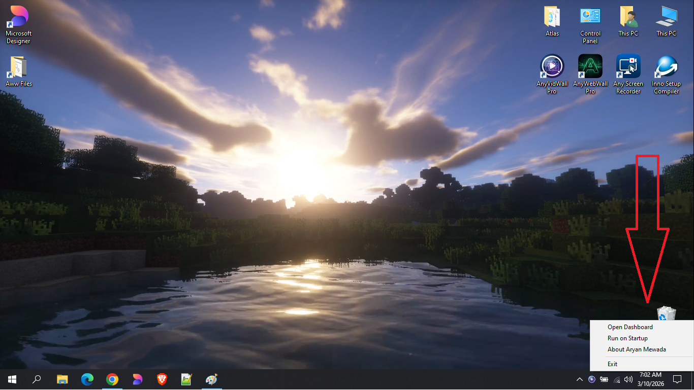 AnyVidWall gallery image