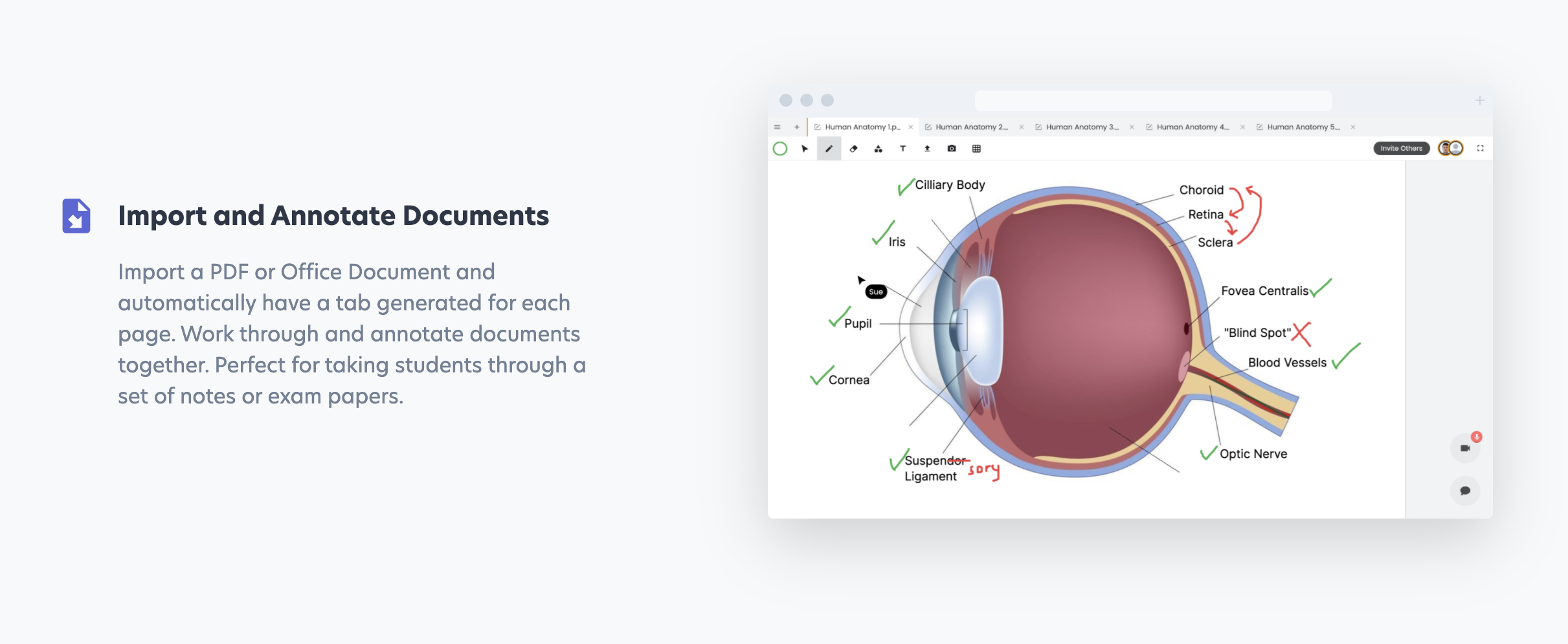 Lessonspace gallery image