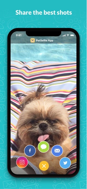 PetSelfie gallery image