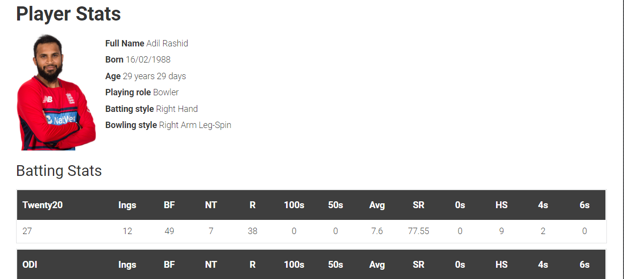 Ultimate Live Cricket WordPress Lite gallery image