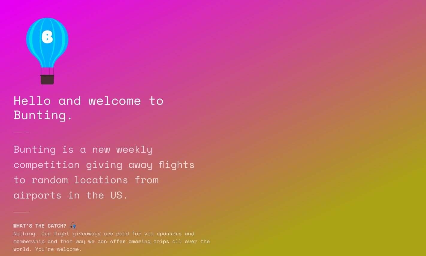 Bunting ✈️ gallery image