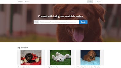 Petigree gallery image