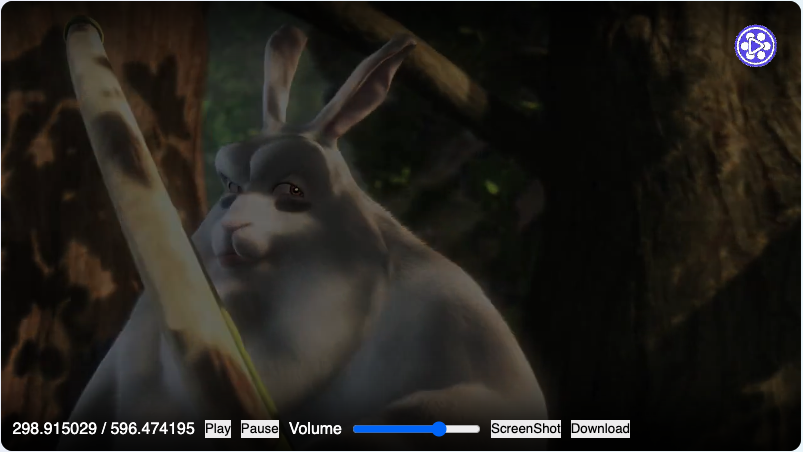 Vidify gallery image