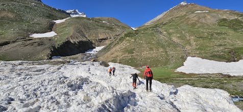 Trips Nomad gallery image