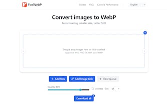 Fox WebP gallery image