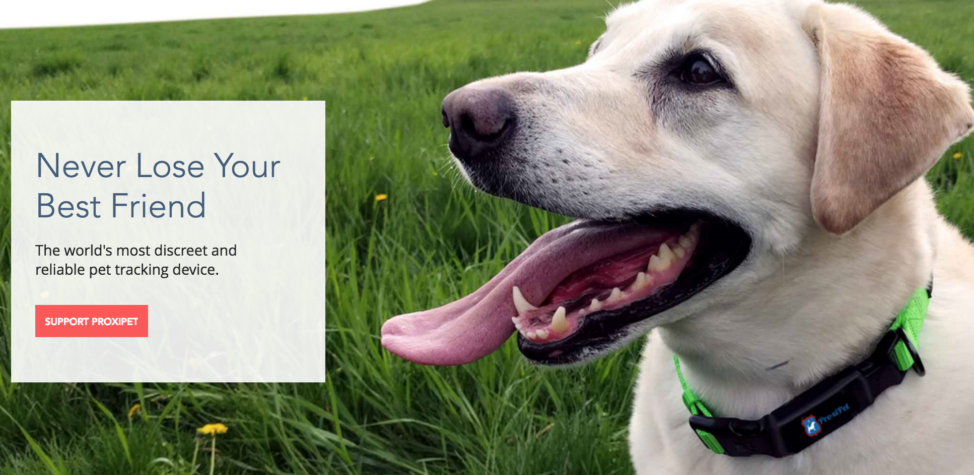 ProxiPet gallery image