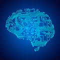 Brain Simulator