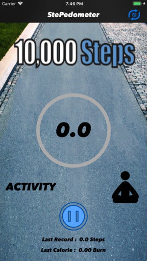 StePedometer gallery image