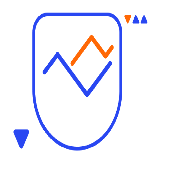 Currency Risk Management - Okoora