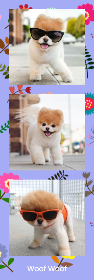 Snappy gallery image