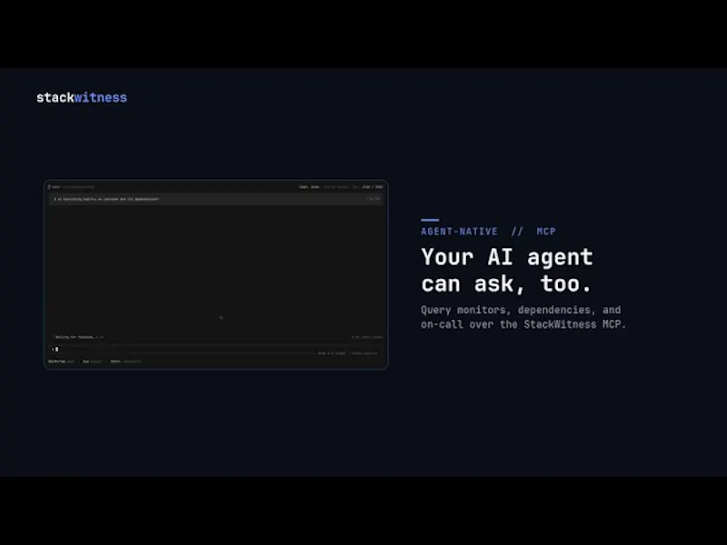 StackWitness screenshot 1 (video preview)
