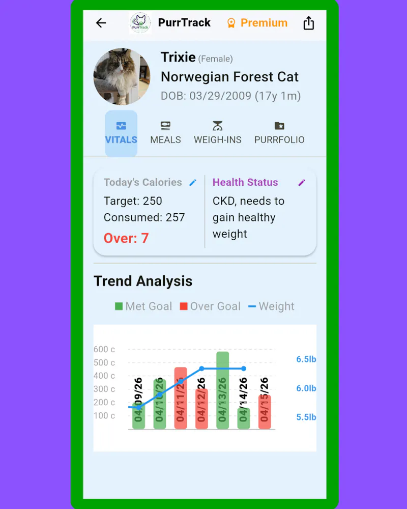 PurrTrack: Holistic Cat Care screenshot 3