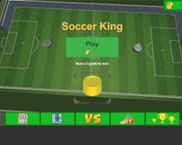 Soccer King media 2