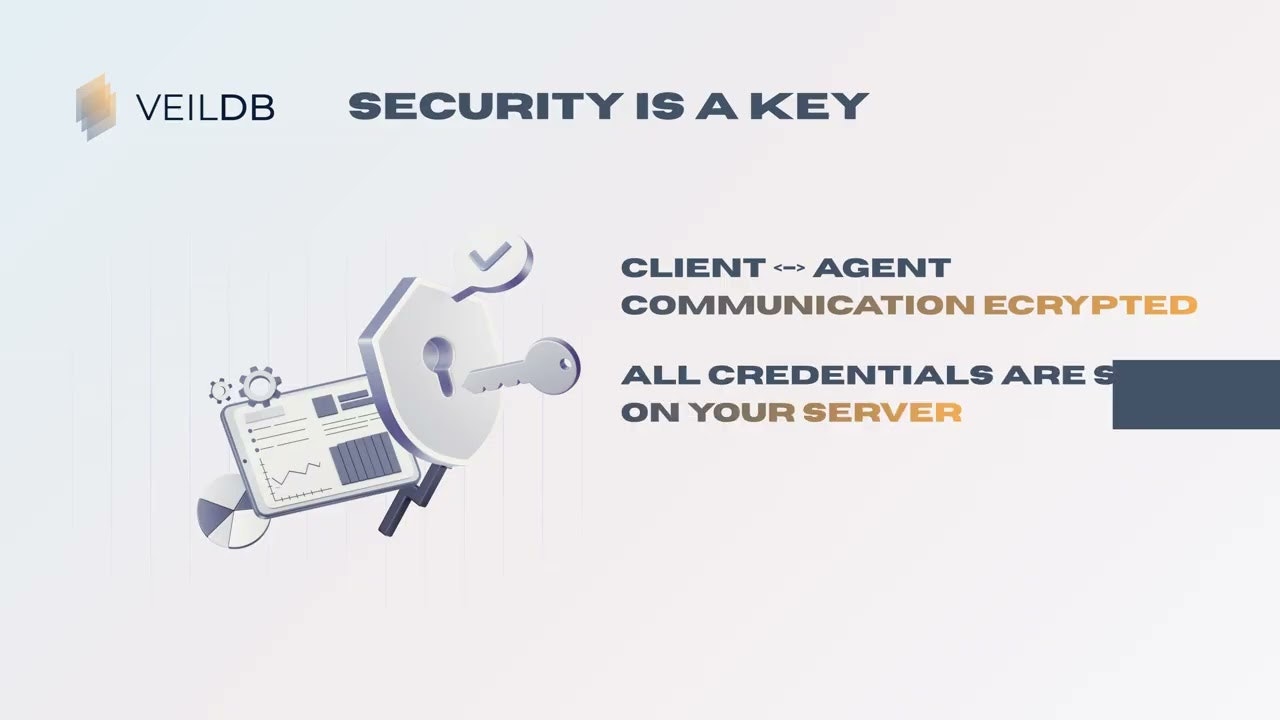 VeilDB gallery image