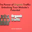 Orgnice Website Traffic