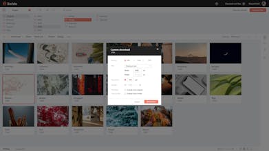 WoodWing Swivle gallery image