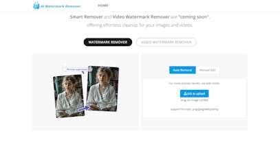 Free AI Watermark Remover Online gallery image