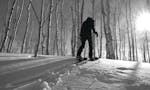 Drift Boards: Snowshoe for Snowboarders & Backcountry Travel image