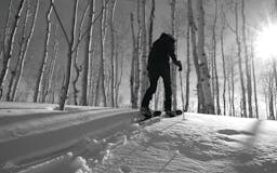 Drift Boards: Snowshoe for Snowboarders & Backcountry Travel media 1