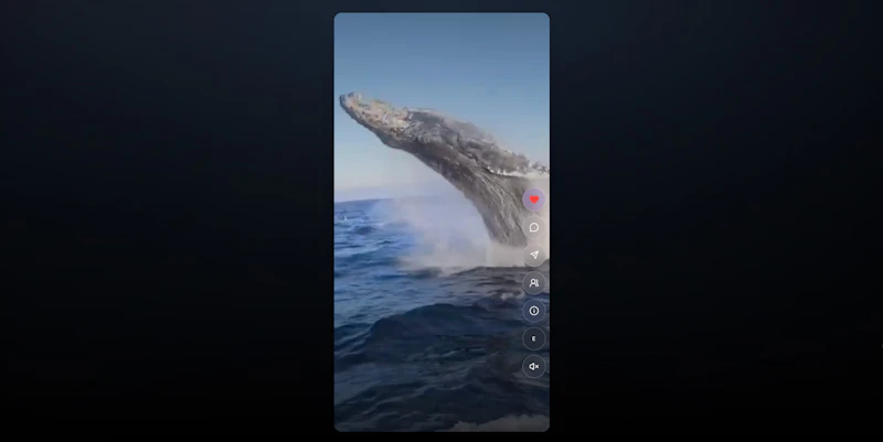 EXPRNCES screenshot 11