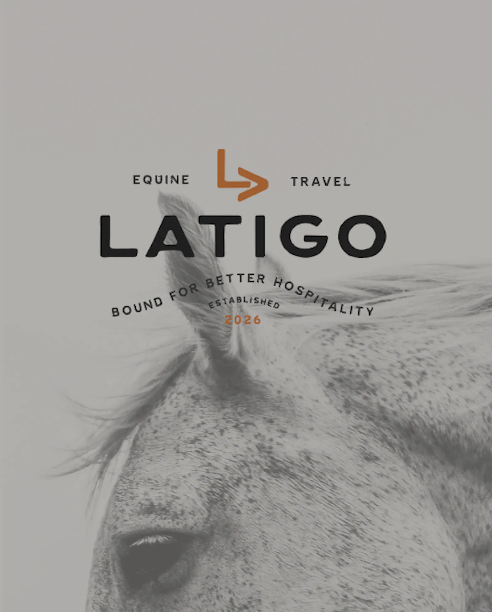 Latigo screenshot 5