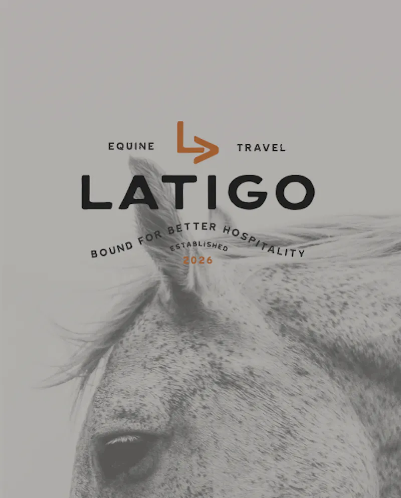 Latigo screenshot 5