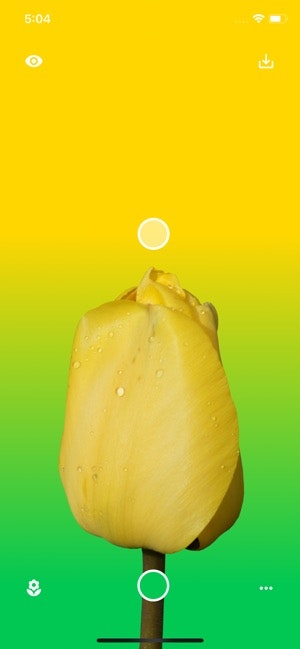 Flower Wallpaper Maker gallery image