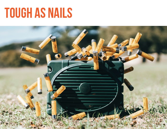 Turtlebox gallery image