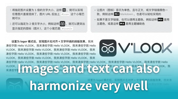 VLOOK gallery image