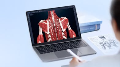 VOKA 3D Anatomy & Pathology gallery image