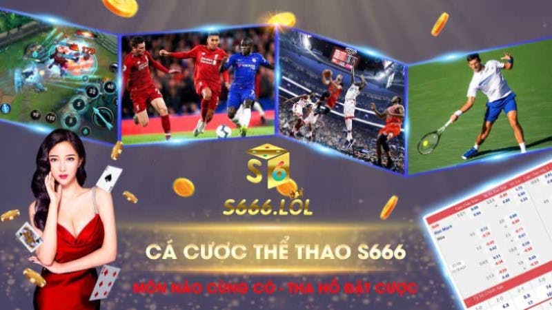 ca-cuoc-the-thao-s666 media 1