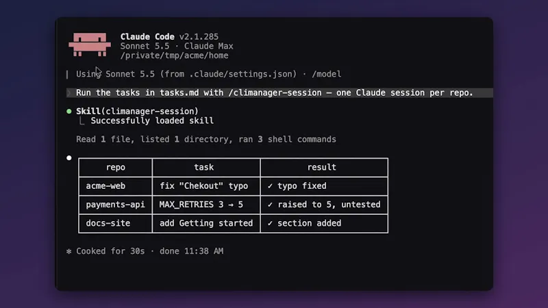 CLI Manager screenshot 1 (video preview)