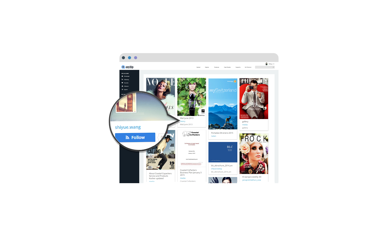 AnyFlip gallery image