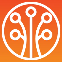 Pando - Group Stories