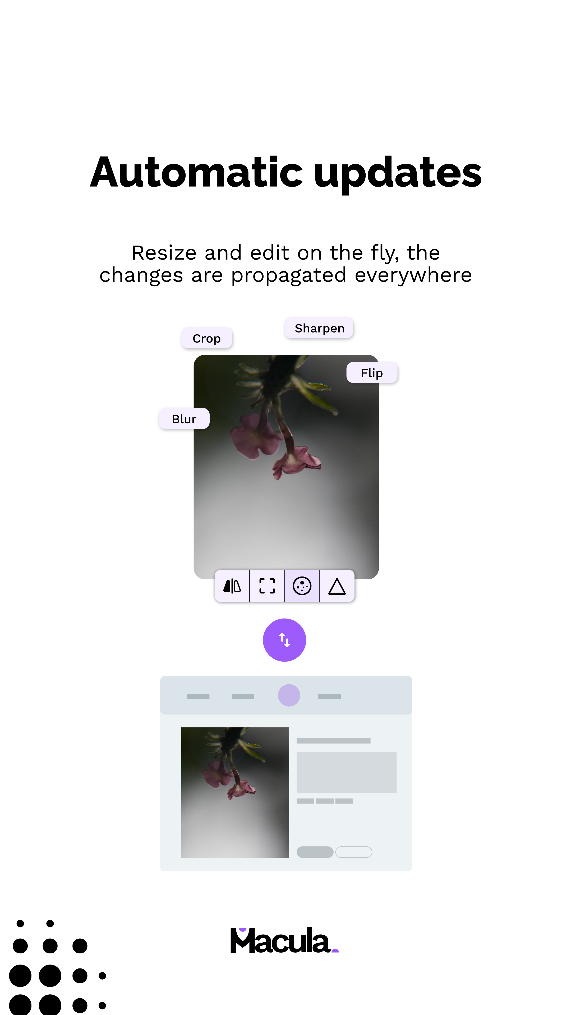 unilink โดย macula media 7