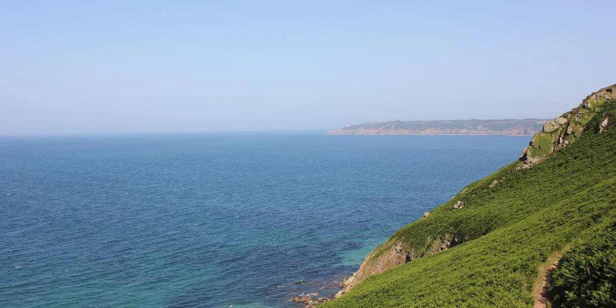 Dima Roznouski cover