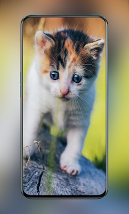 Download Over 100K HD Animal Wallpapers gallery image
