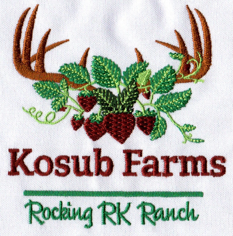 Embroidery Digitizings Provide Services.